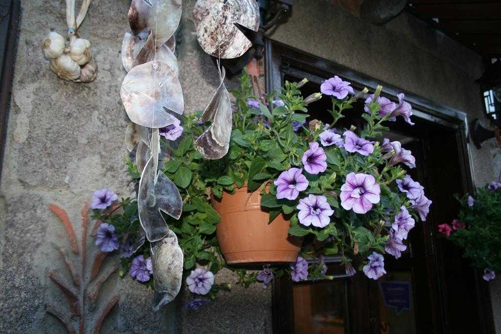 Assos Bohemian Hotel Εξωτερικό φωτογραφία