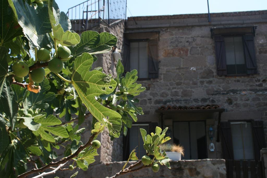Assos Bohemian Hotel Εξωτερικό φωτογραφία